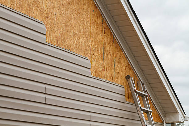 Professional Siding Repair technician working in Moscow, OH